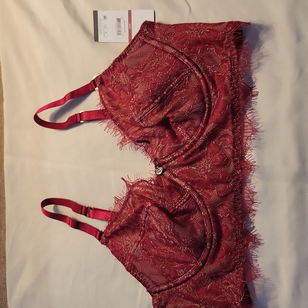 36 C Sofia Intimates minimizer underwire bra NWT